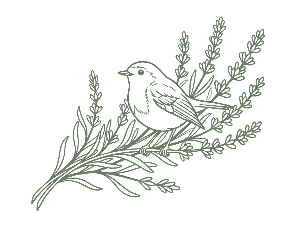 Coronation Complementary Therapies
